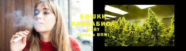прущие грибы Вяземский