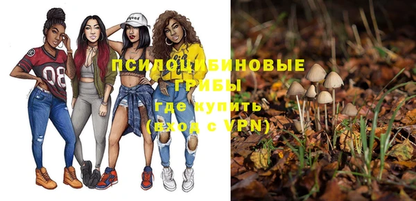 прущие грибы Вяземский