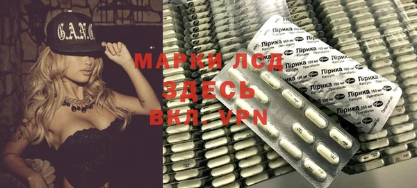 прущие грибы Вяземский