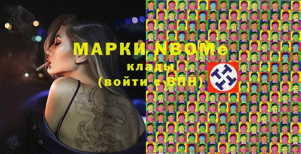 прущие грибы Вяземский