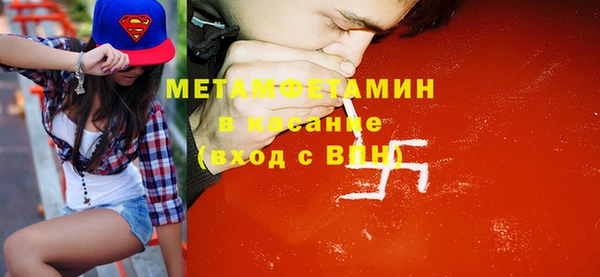 прущие грибы Вяземский