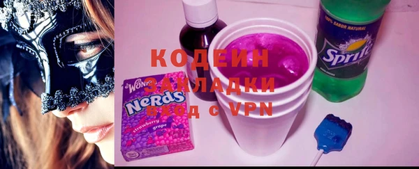 прущие грибы Вяземский