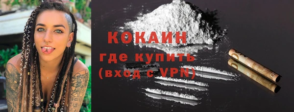 прущие грибы Вяземский